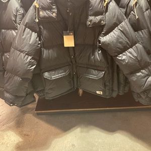 Men sierra down parka